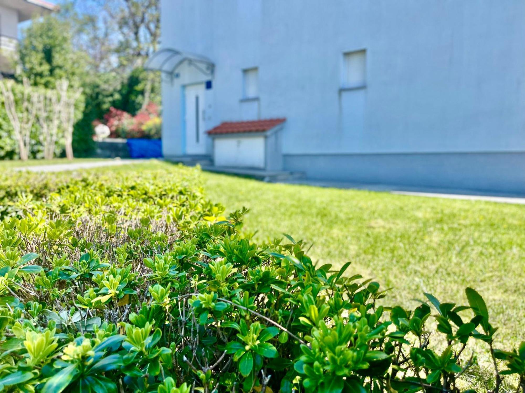 - Sidro Villa